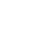 vission-icon