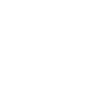 vission-icon